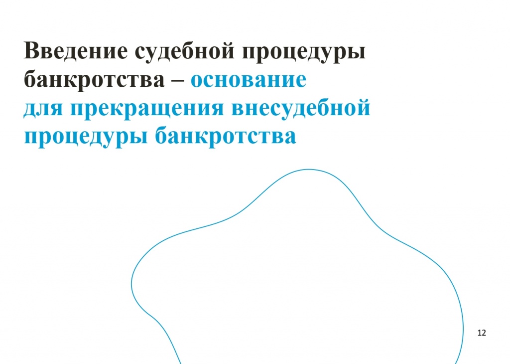 Памятка по процедуре внесудебного банкротства_page-0012.jpg